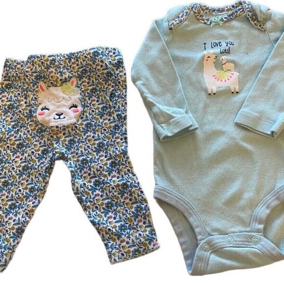 Carters 3 Months Baby Outfit 2 pc Set Pants Shirt Top Llama Floral Teal Blue - Picture 1 of 4